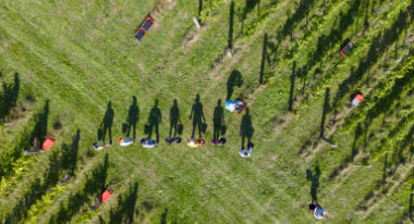 2025 Harvest - A Vintage to Be Proud Of