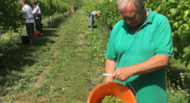 "Short term pain for long term gain"