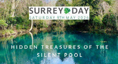 Hidden Treasures of the Silent Pool