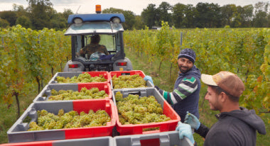 Harvest 2023