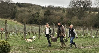 Albury Vineyard on TV!