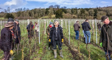 Meet the Vineyard Manager
