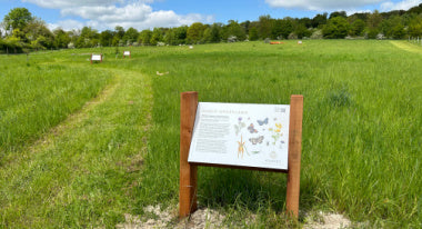 New! Wildlife Walk & Wine