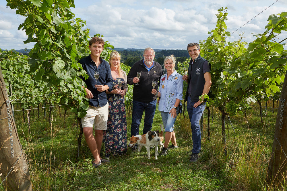 OUR WINES ARE MADE FROM ORGANIC GRAPES GROWN IN THE SURREY HILLS