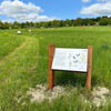 Wildlife Walk open for Heritage Open Days