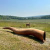 Wildlife Walk open for Heritage Open Days