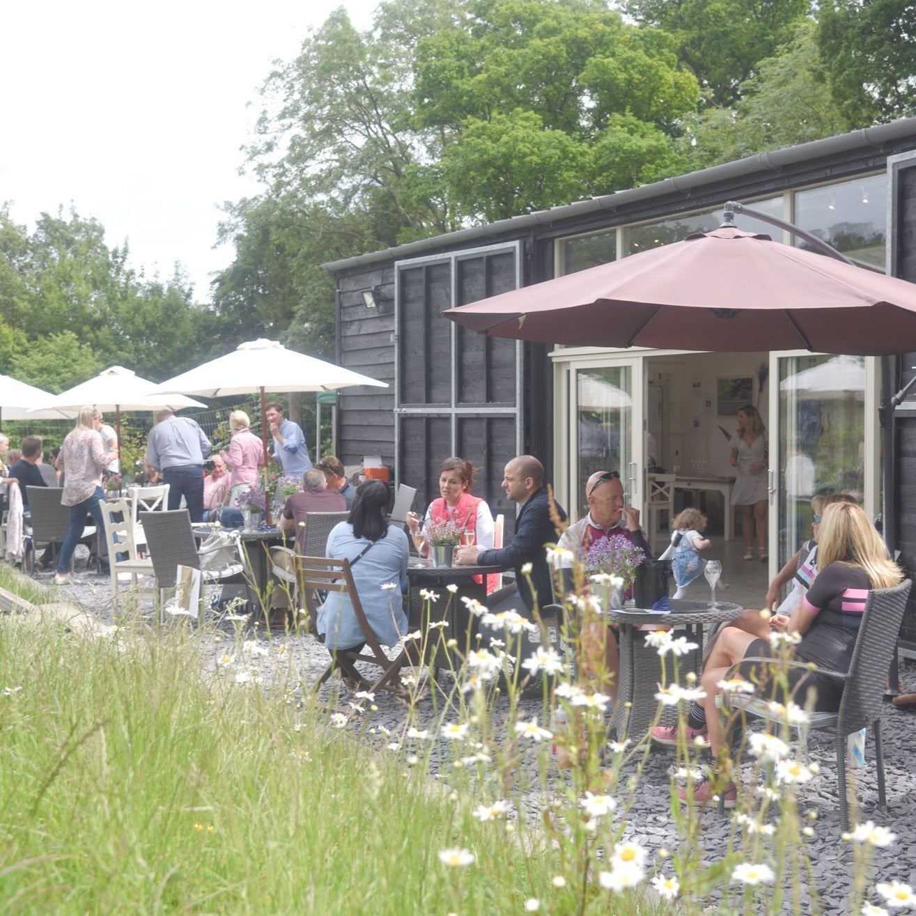 WINE CLUB EVENT - Members' Open Day 2024