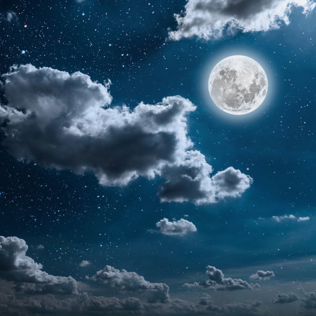 The Vineyard by Moonlight