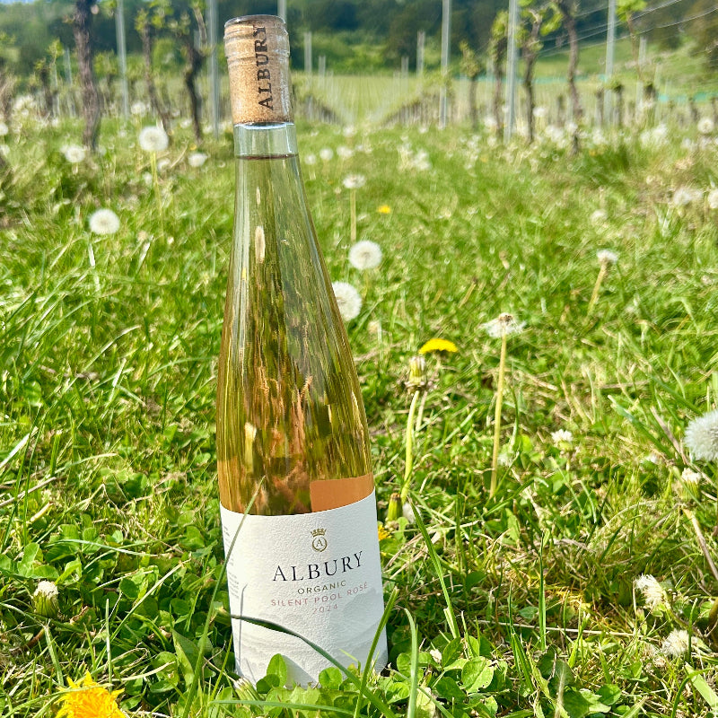 silent pool rosé at albury vineyard