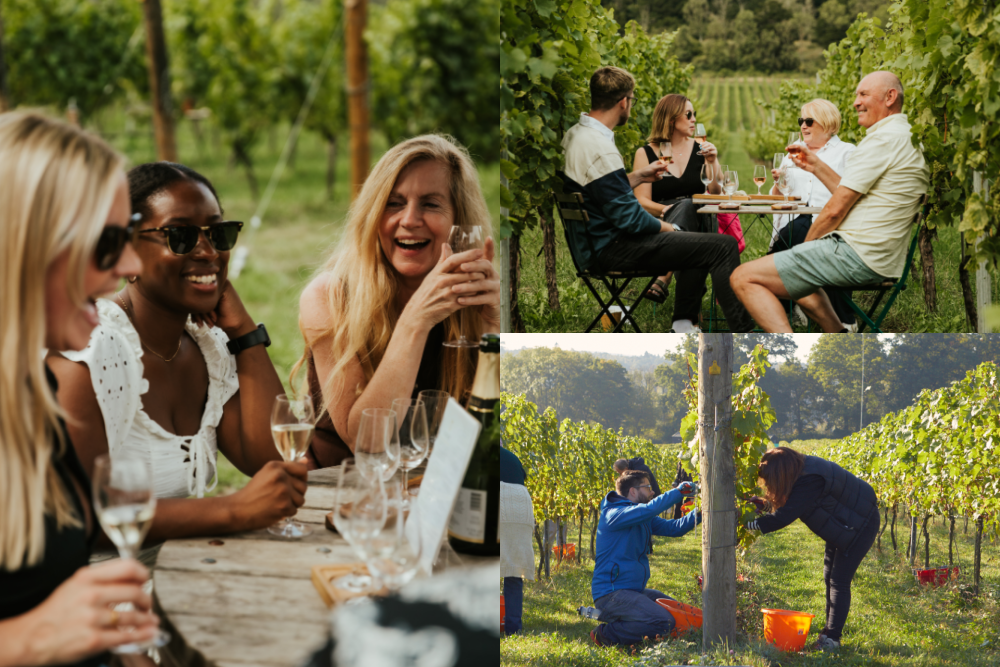 The Albury Wine Club