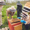 Bee-Keeping Demonstration