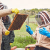 Bee-Keeping Demonstration