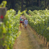 Vineyard Tour & Tasting