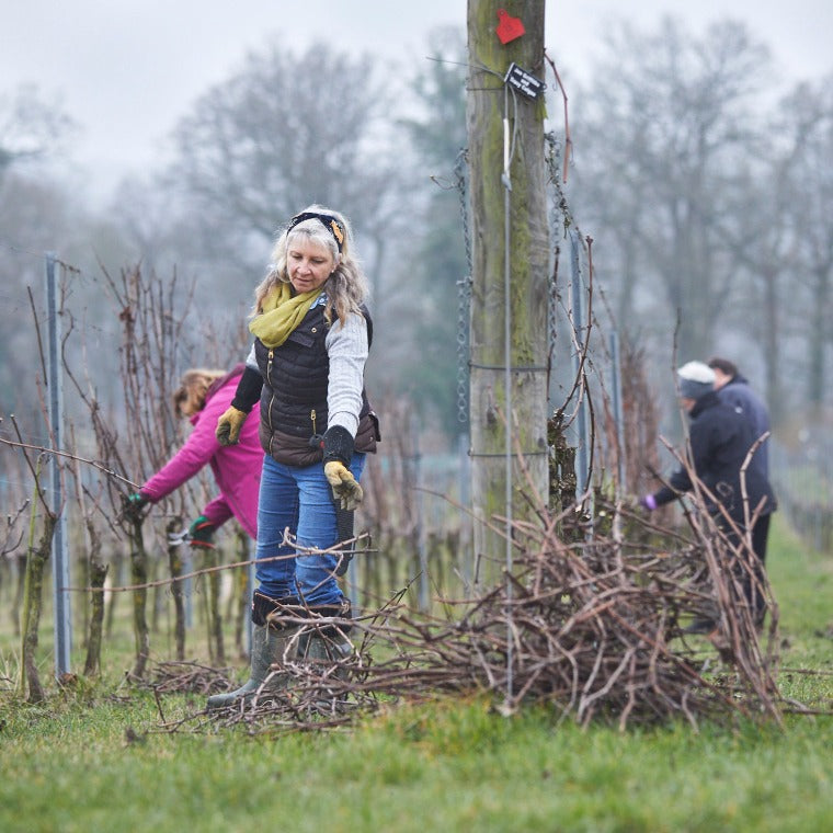 Meet the Vineyard Manager - Winter Pruning