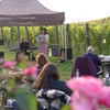 Albury vineyard music event