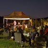 music in the vineyard