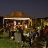 music in the vineyard