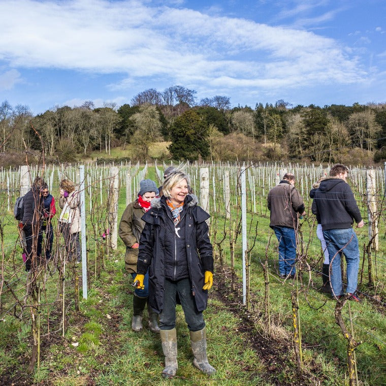 Meet the Vineyard Manager - Winter Pruning