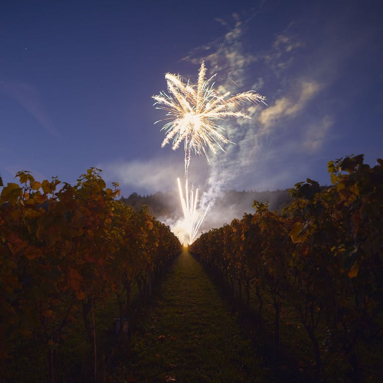 Fireworks & Fizz - Harvest Party