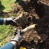 Biodynamic Wine & Vineyard Experience